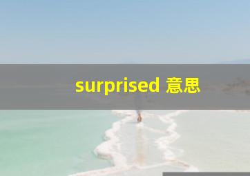 surprised 意思